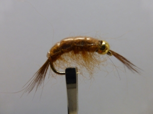 Size 10 Gammarus Bead Head Brown